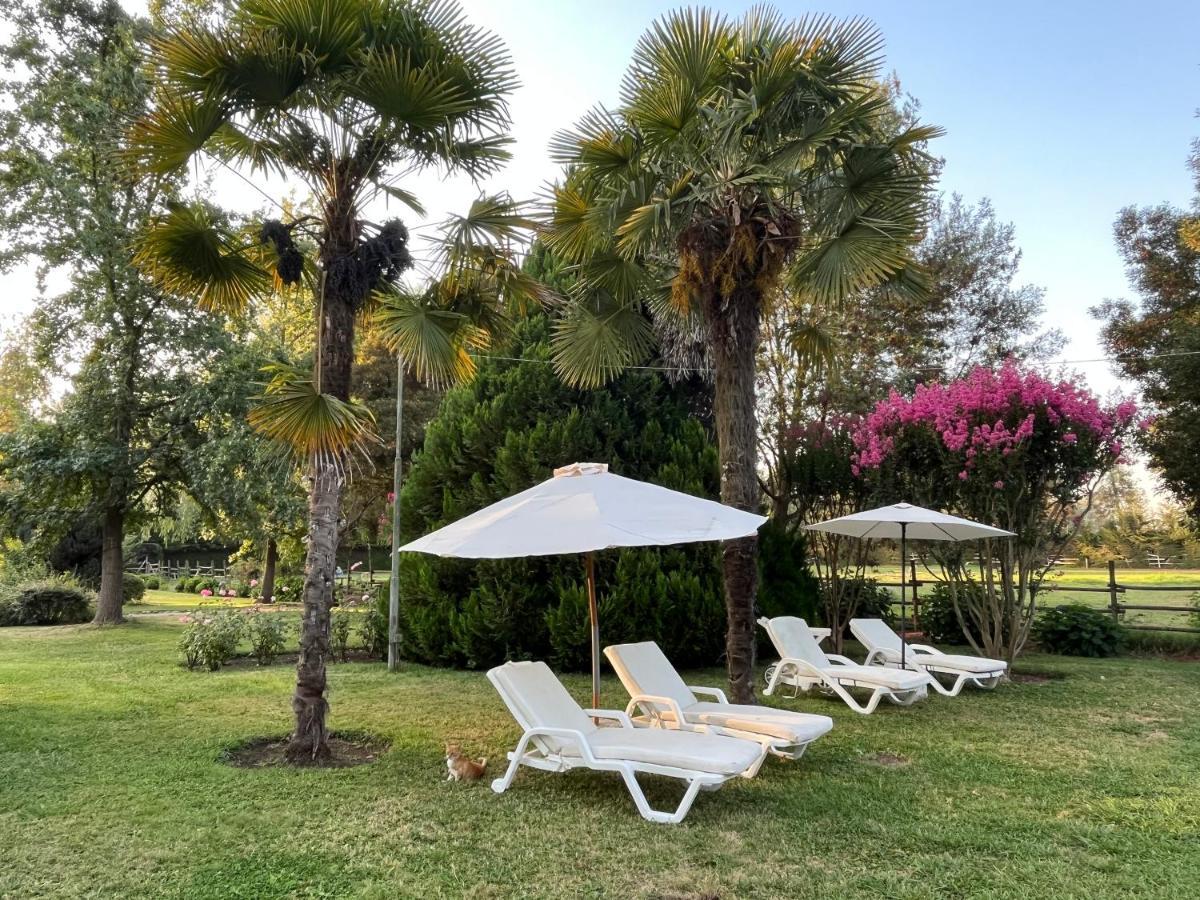 Bed & Breakfast ,Casa De Campo San Esteban,Linares Miraflores Exterior foto